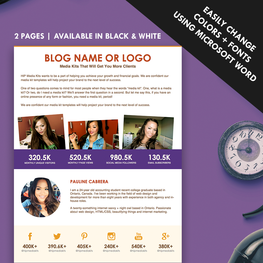 Boss Media Kit Template - Image 2